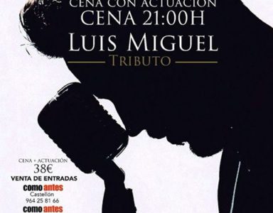 Cena Actuación Concierto Tributo a Luis Miguel